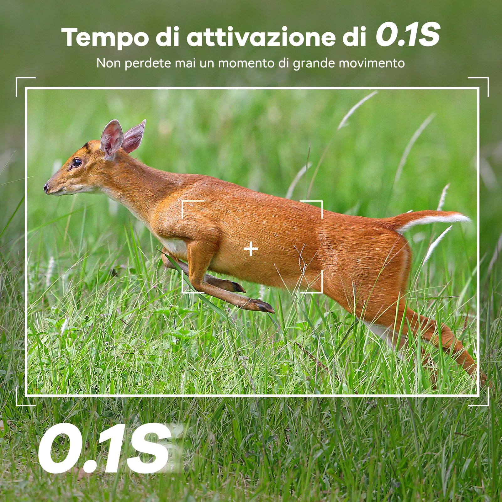 DEATTI Solare Fotocamera da Caccia 4G LTE con Sim 0,1S 7800 mAh IP65