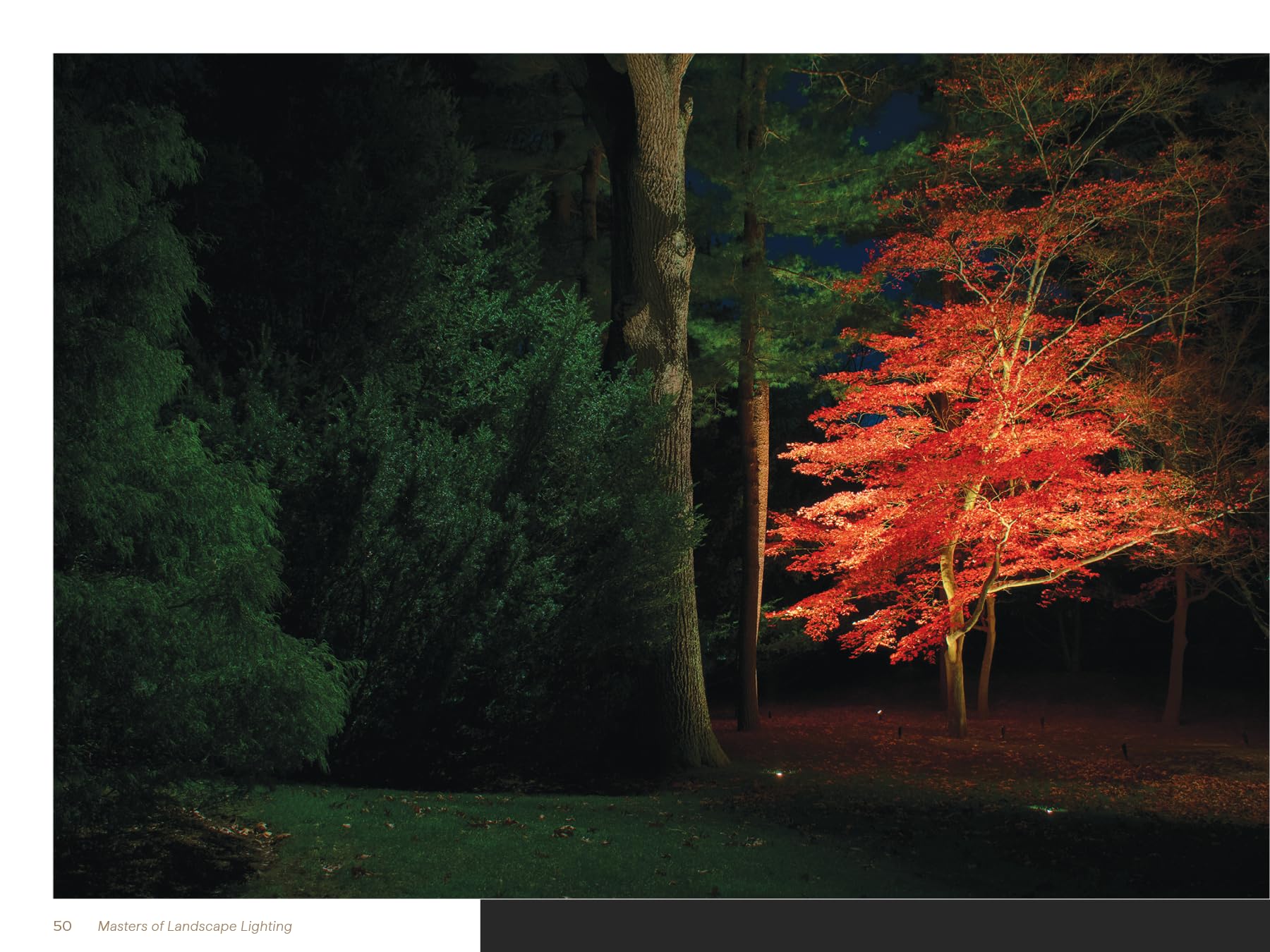 Masters of Landscape Lighting: Spectacular Outdoor Lighting Installations and Designs, Hardcover Book, 368 Pages, Over 1000 Photographs (Modern Living Collection): 1