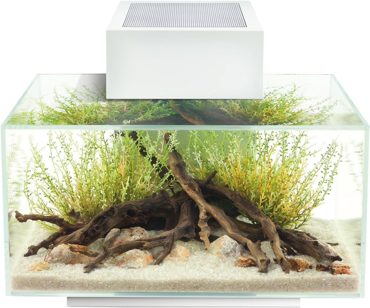 Fluval Edge 6-Gallon Aquarium with 21-LED Light, White