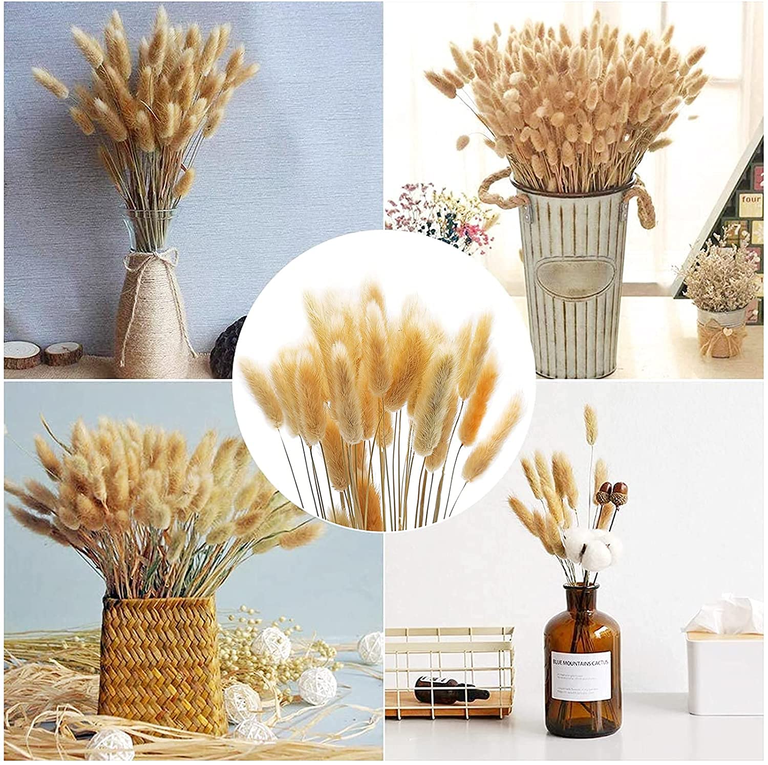 30 Steli Di Erba Della Pampa E Coda Di Coniglio Essiccate Naturali - Decorazione Floreale Per Matrimonio E Casa, 40-45 Cm