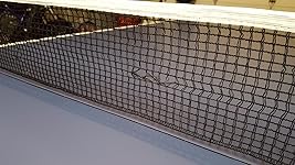 Review Image by Nick Nick