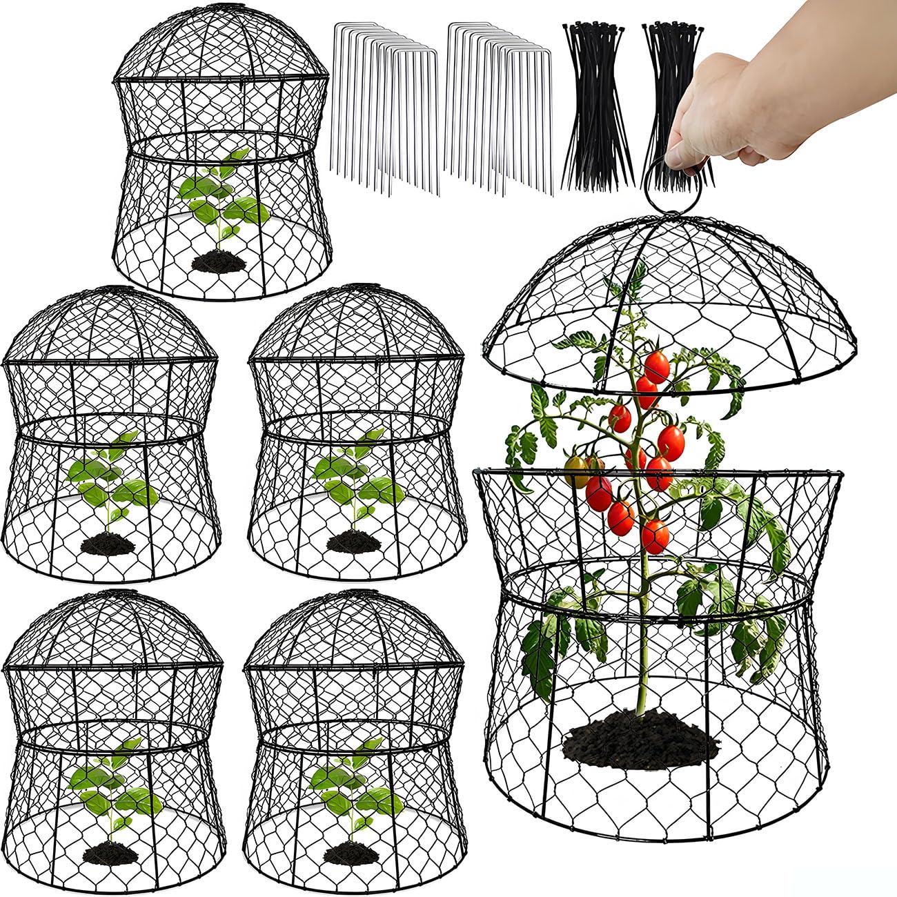 Lot de 6 cloches de jardin en métal pour plantes contre les animaux, cloches en fil de poulet, cages à plantes mises à jour pour plantes d'extérieur, légumes, semis, 33 x 35,6 cm