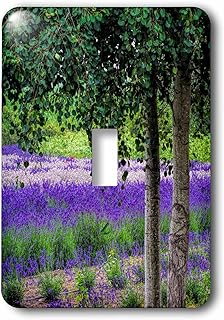 3dRose lsp_279766_1 Washington, Sequim, Lavender Field in Full Boom with Trees Toggle Switch, Mixed