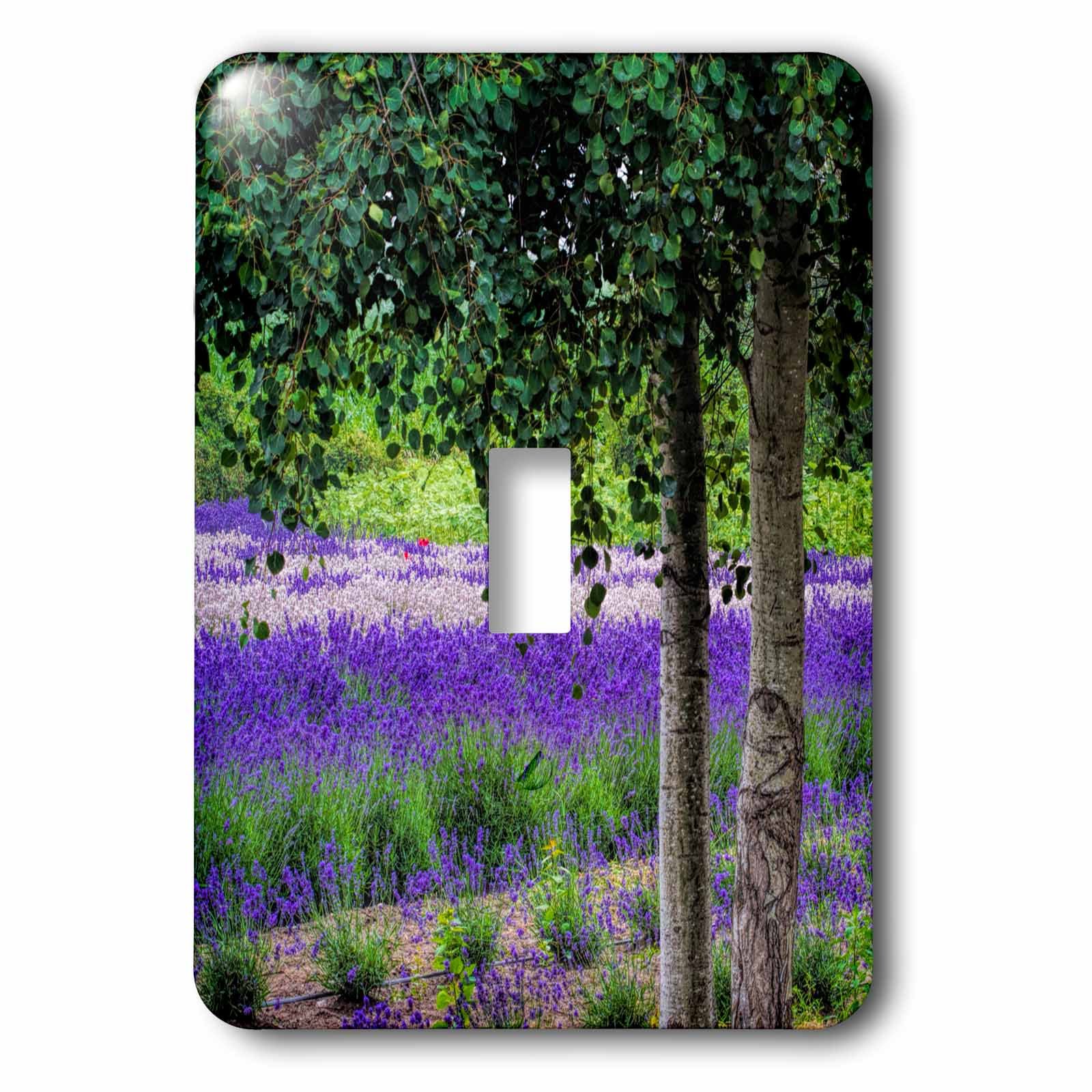 Lavande de Sequim cache interrupteur 3dRose pour sublimer un mur blanc uni