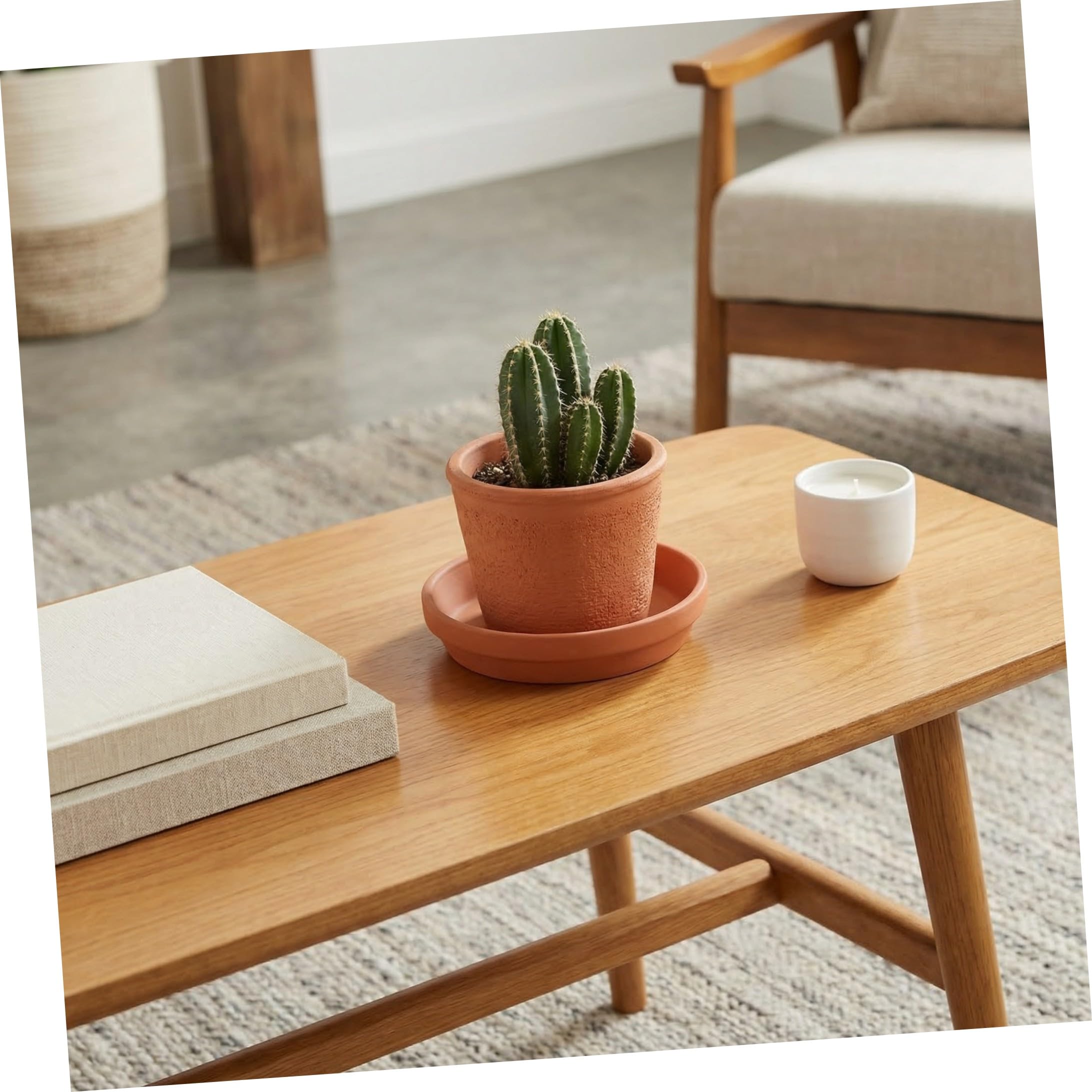 TOPBATHY 12 Piezas Platillo Redondo de Terracota 11, 4cm