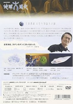 81dk-2dhBqL._AC_UF350,