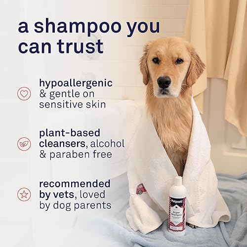 Miniatura 4 de Petpost  Champú para perros de piel seca - Argán cura, protege y rejuvenece naturalmente la picazón de la piel y el pelaje del perro - Fórmula de