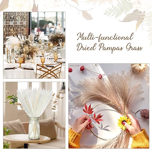 Miniatura 4 de 200 piezas de hierba seca de las pampas de 17 pulgadas, ramo de hierba pomposa esponjosa de caña seca natural, decoración bohemia, pampas marrones y