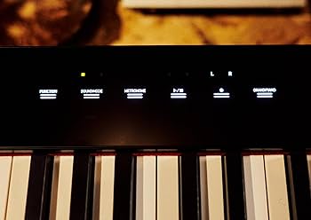 【美品】CASIO Privia PX-S5000 Amazon.com: Casio Privia PX-S5000 Portable Digital Piano