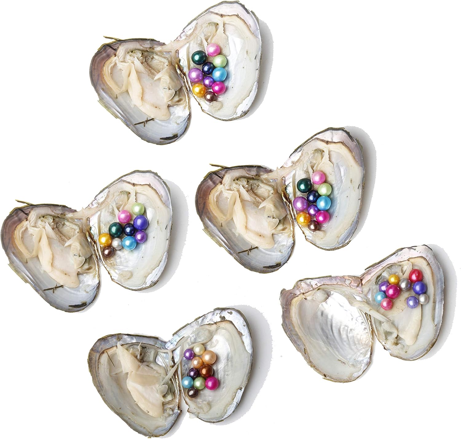 5PC Pearl Oysters Freshwater Cultured with 10 Mix Color Round Love Wish Oysters with Pearls Inside 10 Colors (7-8mm), Valentines Mothers Day Birthday Gifts Pearl Wedding Party (Total 50 Pearls)