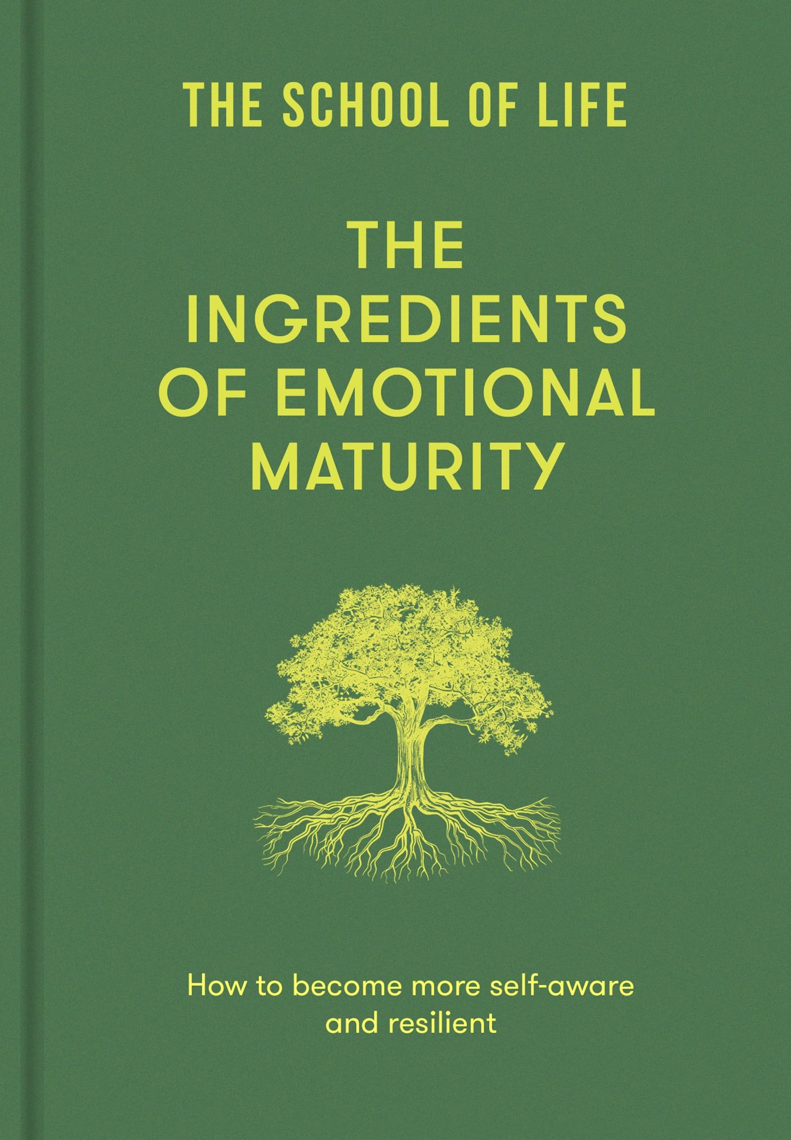 The Ingredients of Emotional Maturity: How to become more self-aware and resilient