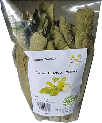 Hojas secas de guayaba (Psidium Guajava) (3 oz, más de 100 hojas)