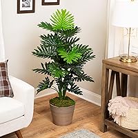 Vista 2 de Northlight Planta artificial de filodendro selloum en maceta verde de 47