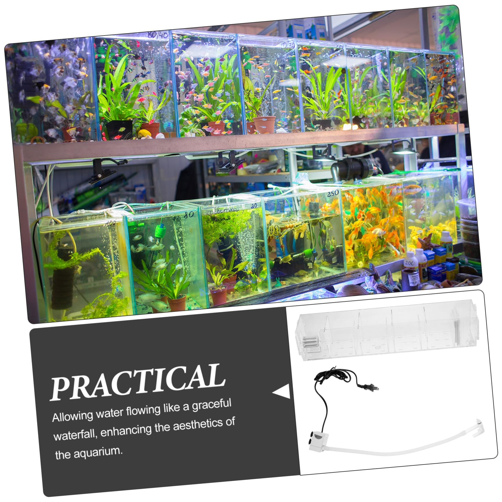 Multifunktionale Aquarium Filterbox aus Acryl mit Klarer Optik und Glatten Linien Inklusive Pumpe für Fischbecken zur Sauerstoffversorgung