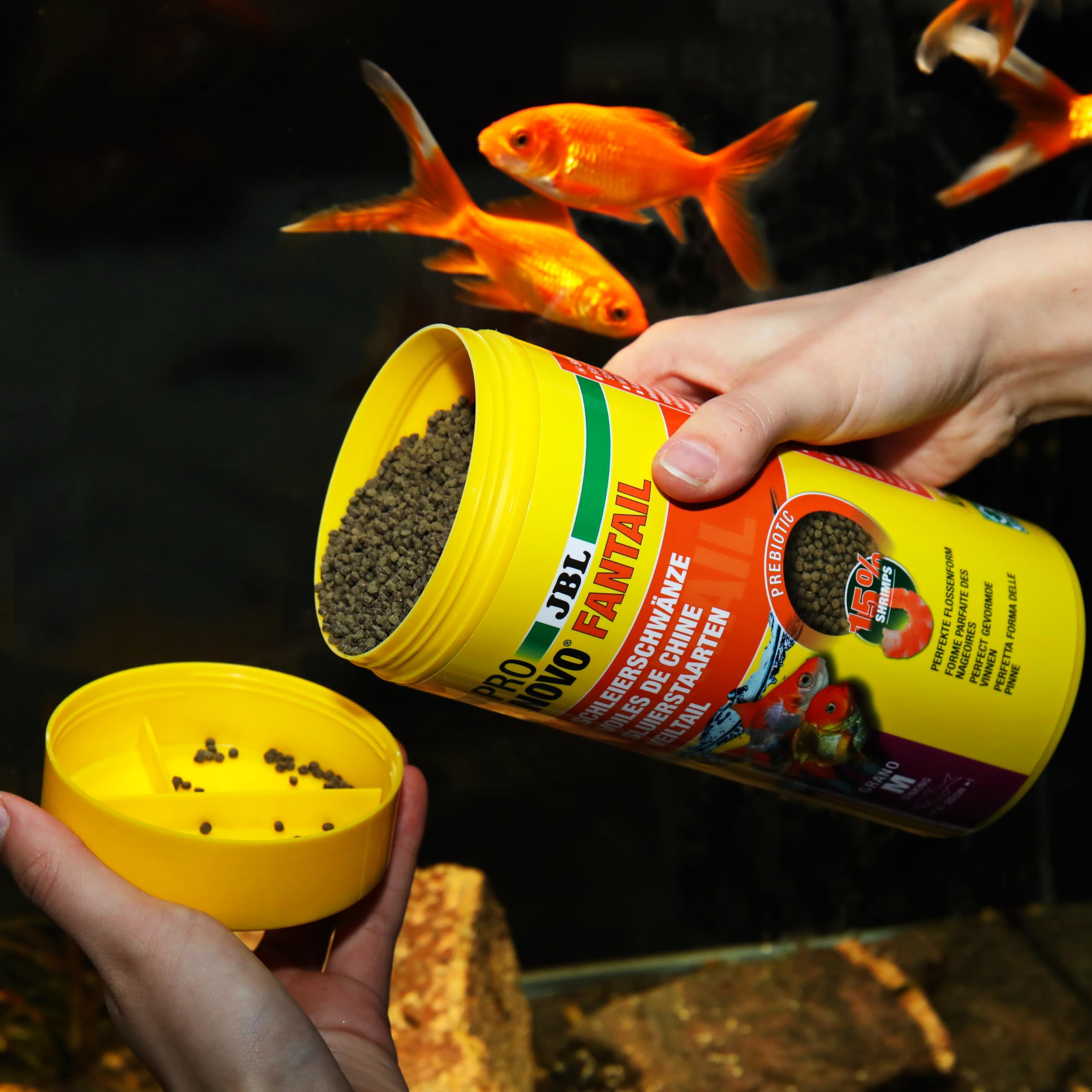 JBL PRONOVO FANTAIL GRANO, Aliment de Base pour Voiles de Chine et autres Variétés d’élevage de Poissons Rouges de 8-20 cm, Granulés pour Poissons, Doseur à Clic, taille M, 1 L