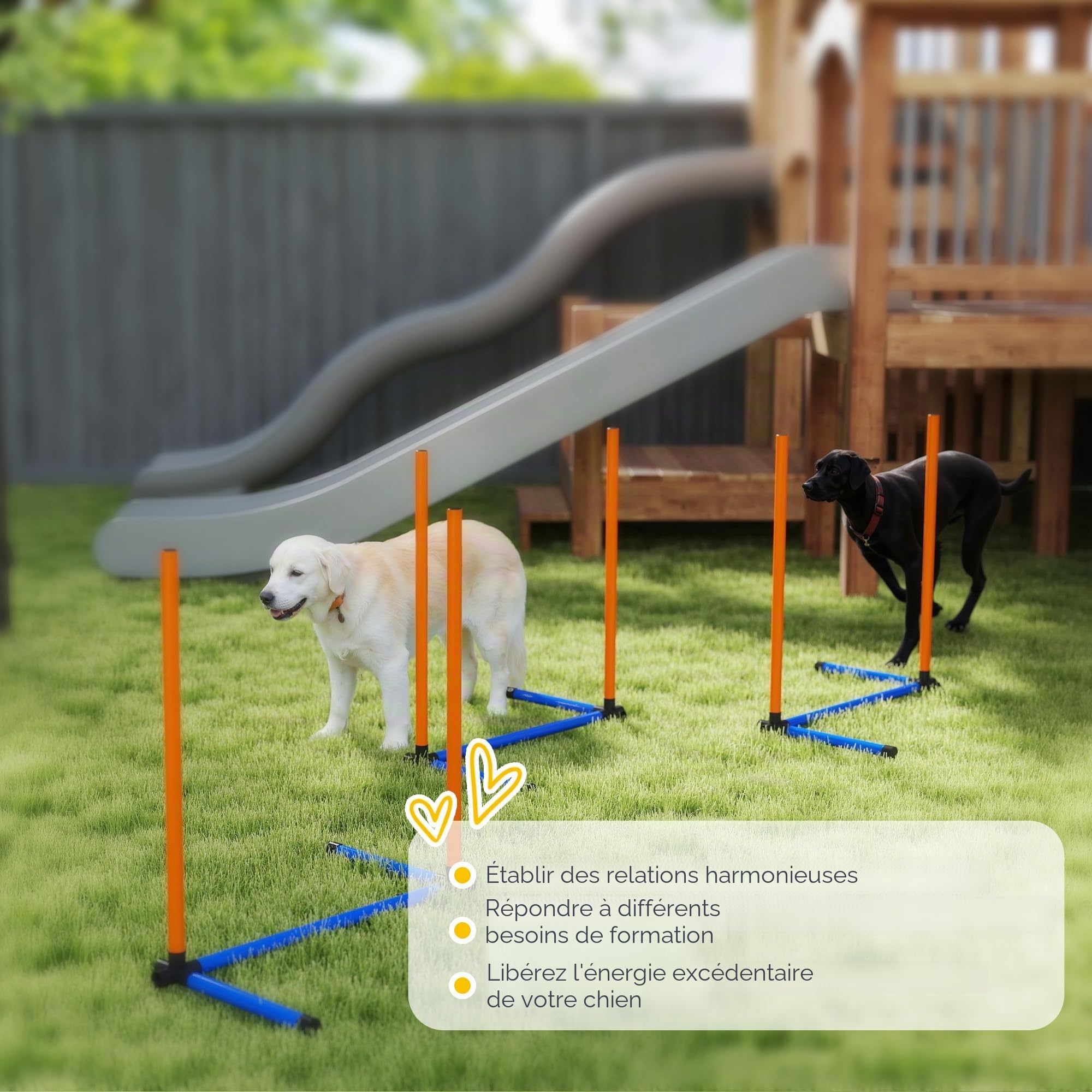 PawHut Agility Kit pour Chien - Équipement d'agility 3 pièces avec Barres de Slalom, piquets de Sol, Sac de Transport, kit d'entraînement pour Toutes Les Tailles de Chiens, pour l'intérieur et | Sac de transport pour chiens de toutes tailles, pour l'intér