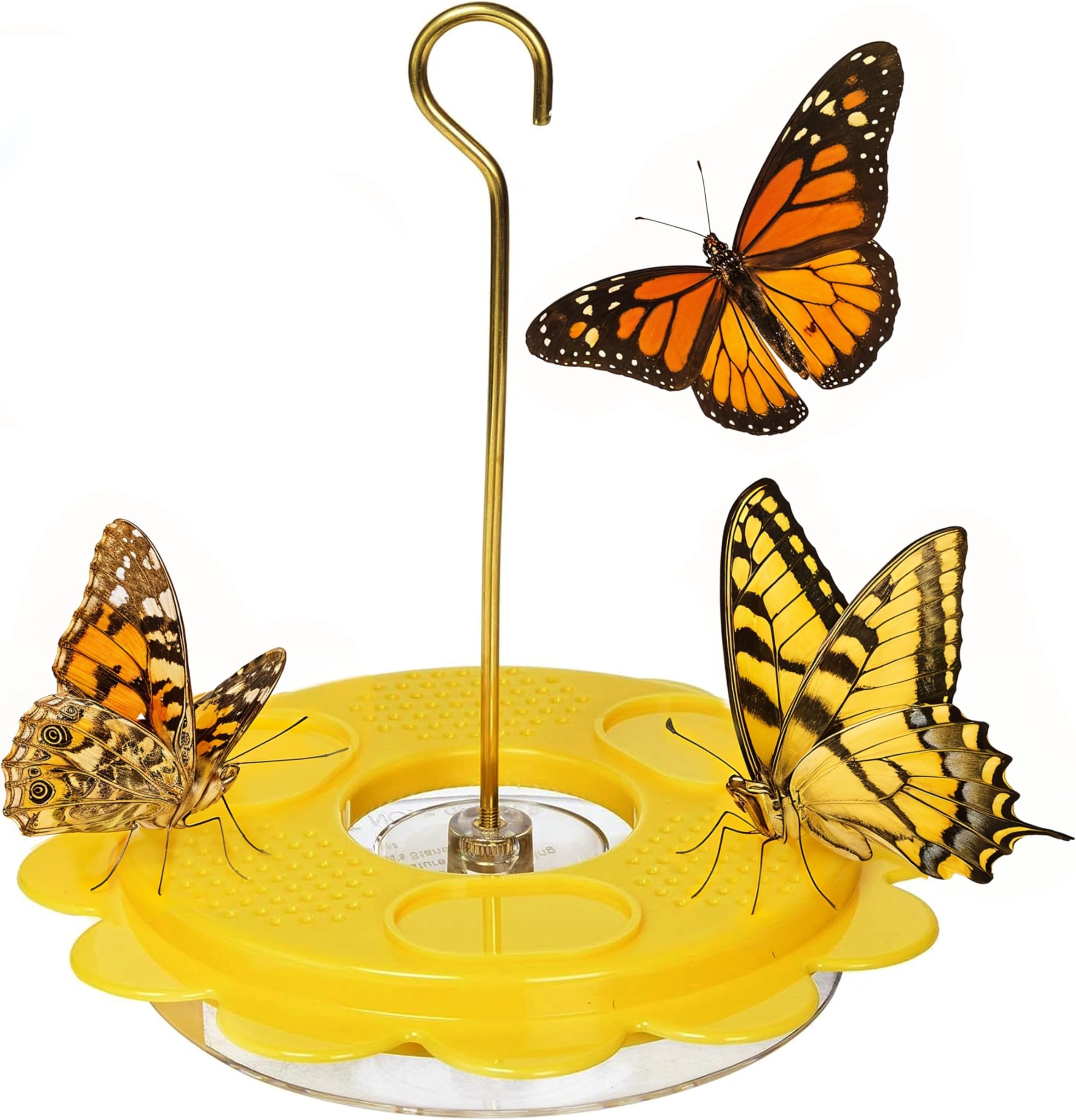 Flutterby Butterfly Feeder – Outdoor Feeder with 12 oz. Nectar Capacity and Fruit Trays, Includes Brass Hanging Rod