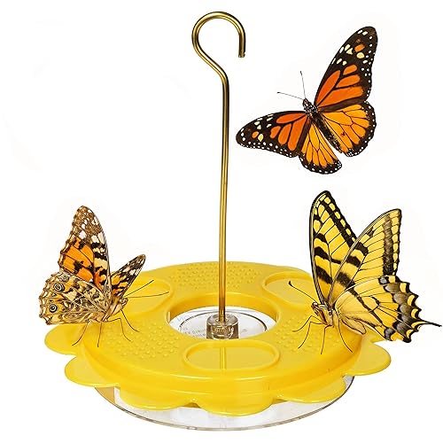 Birds Choice Flutterby Butterfly Feeder – Outdoor Feeder with 12