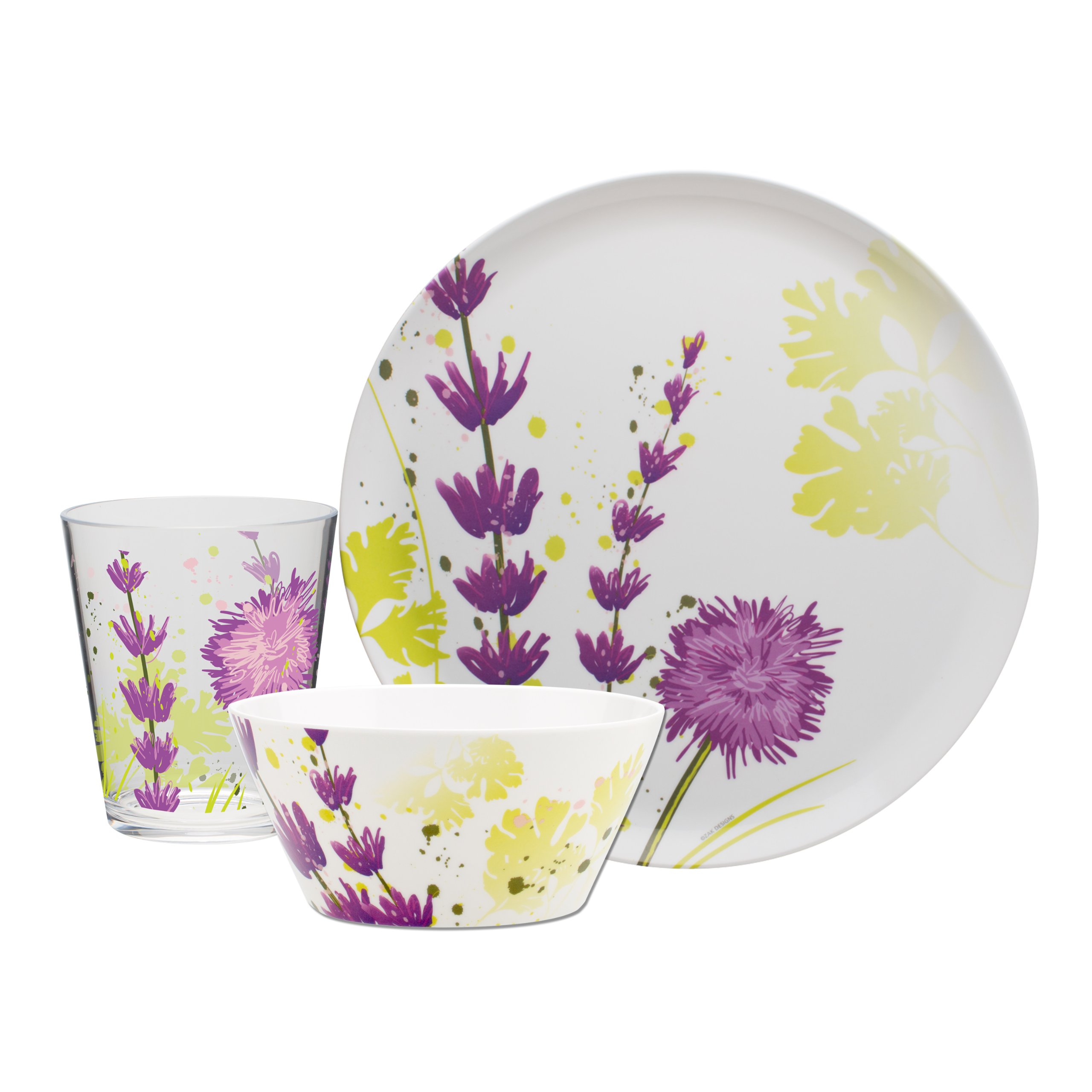 Service de table 12 pièces vaisselle de vaisselle plate Herb Garden