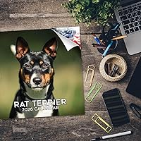 Vista 1238 de Razas de Perros 2017