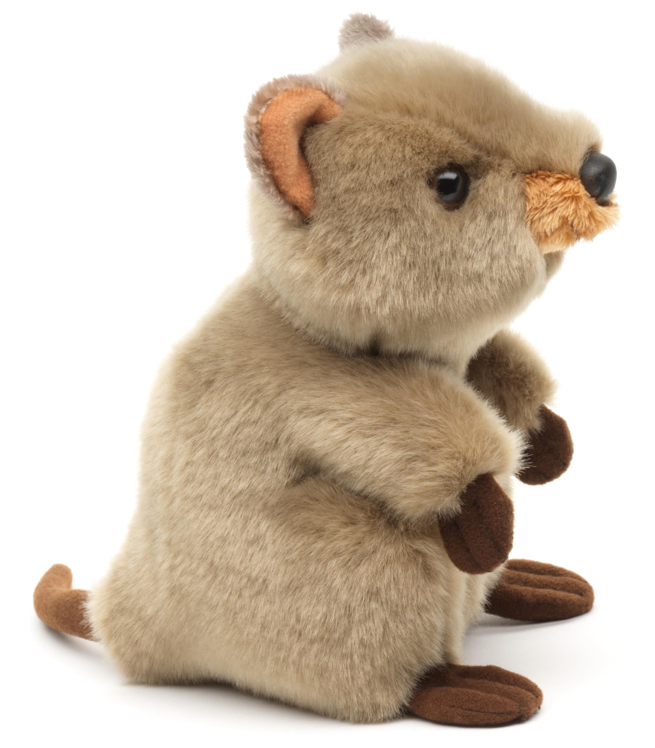 Uni-Toys - Quokka - 20 cm (długość) - pluszowy kangur - pluszowa zabawka, przytulanka