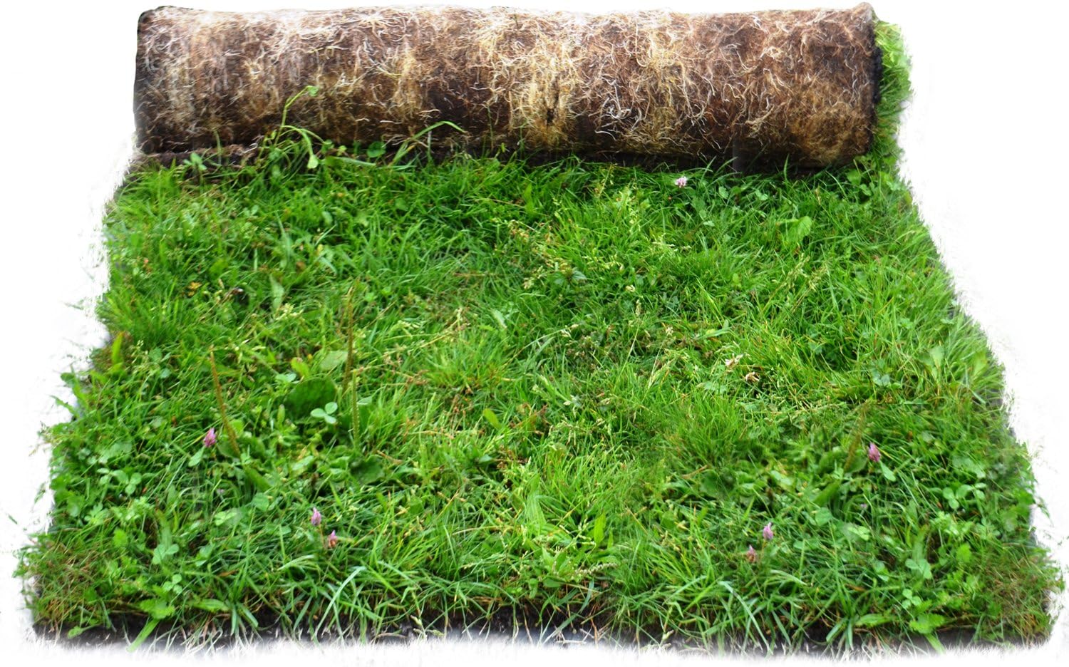 Meadowmat Roof and Garden Wildflower Turf, MultiColour, 20m sq