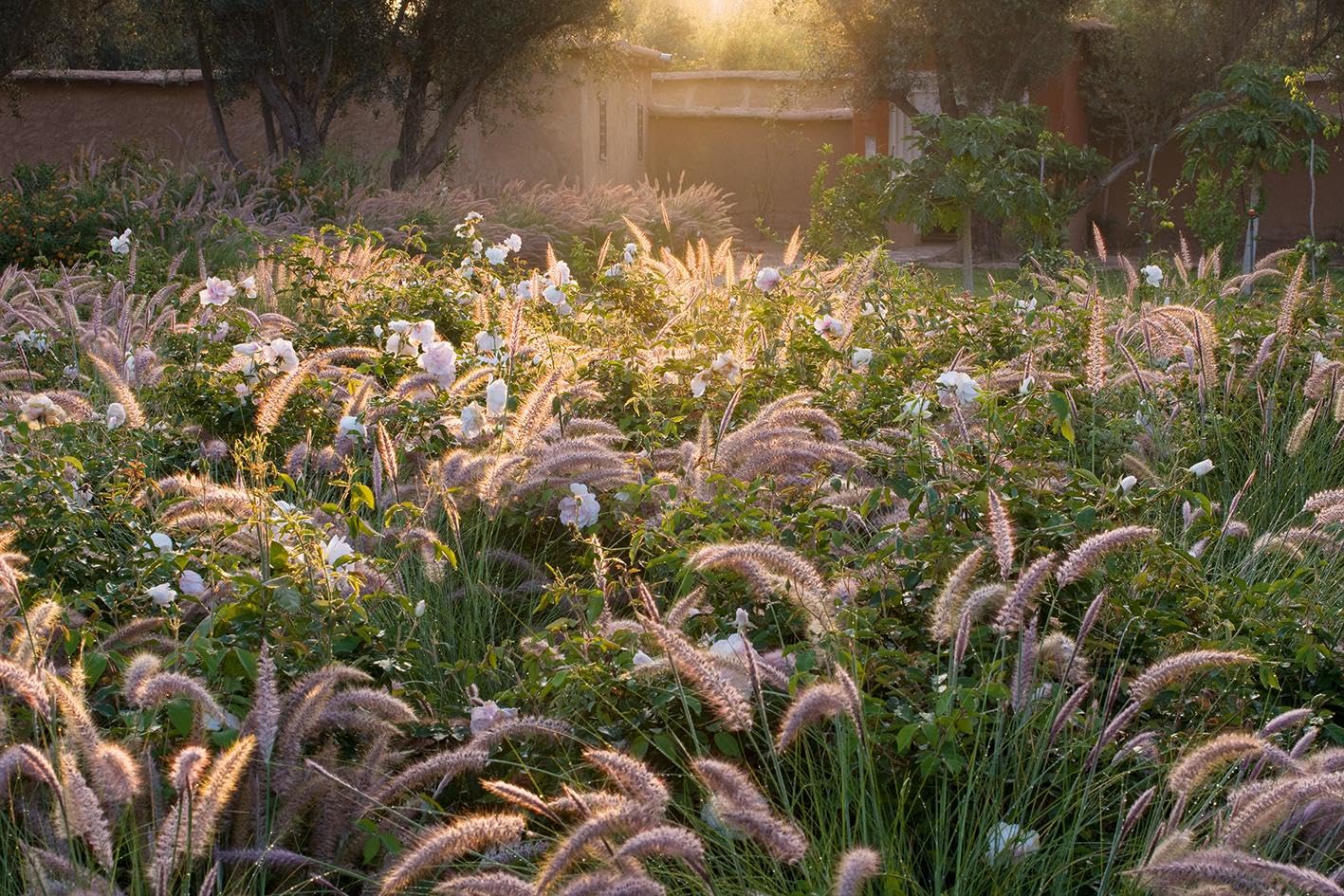 Mediterranes Gartendesign: Spektakuläre Privatgärten (Garten- und Ideenbücher BJVV)