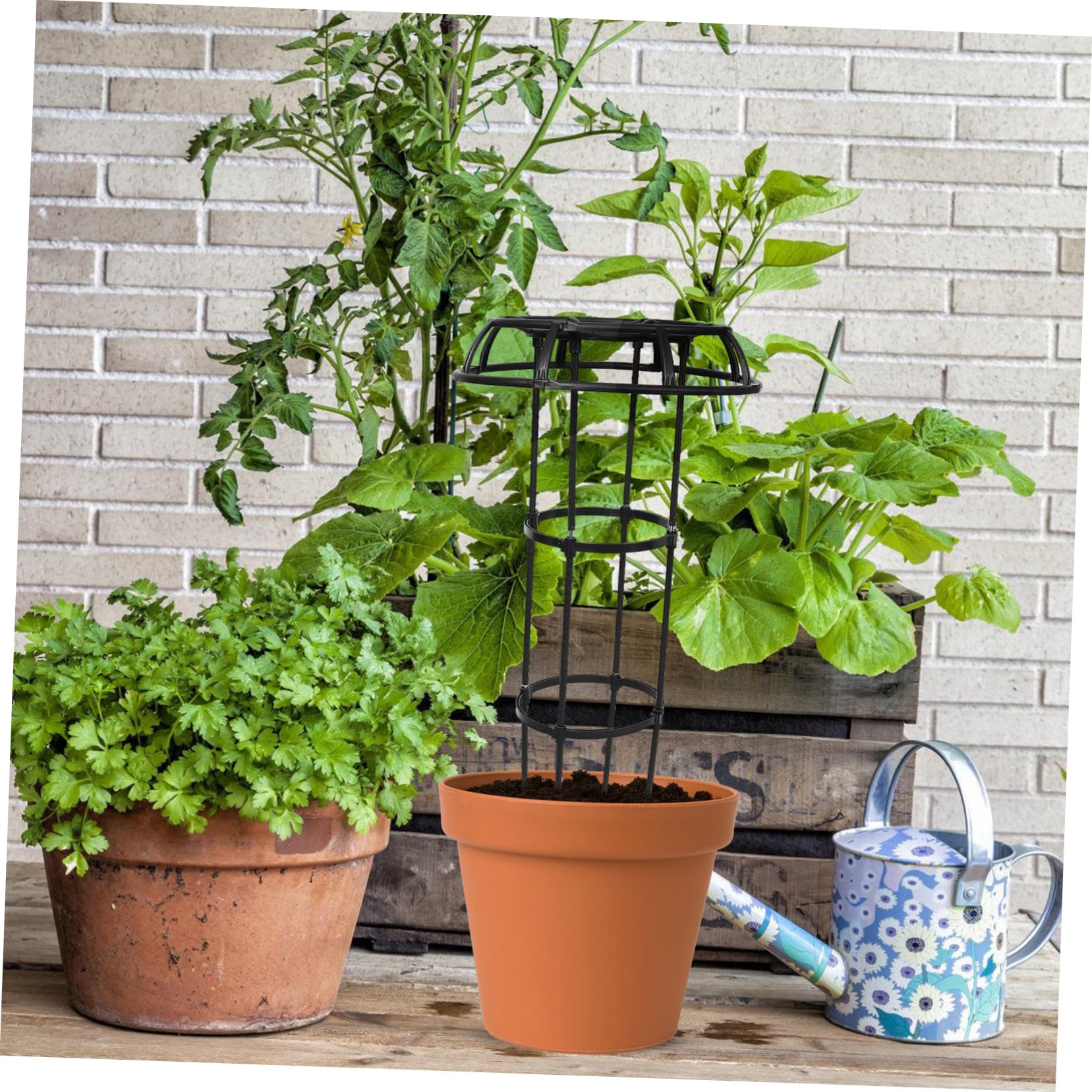 Sosoport Support De Plantes Grimpantes en Treillis Support De Plantes Robuste Et Polyvalent pour Plantes