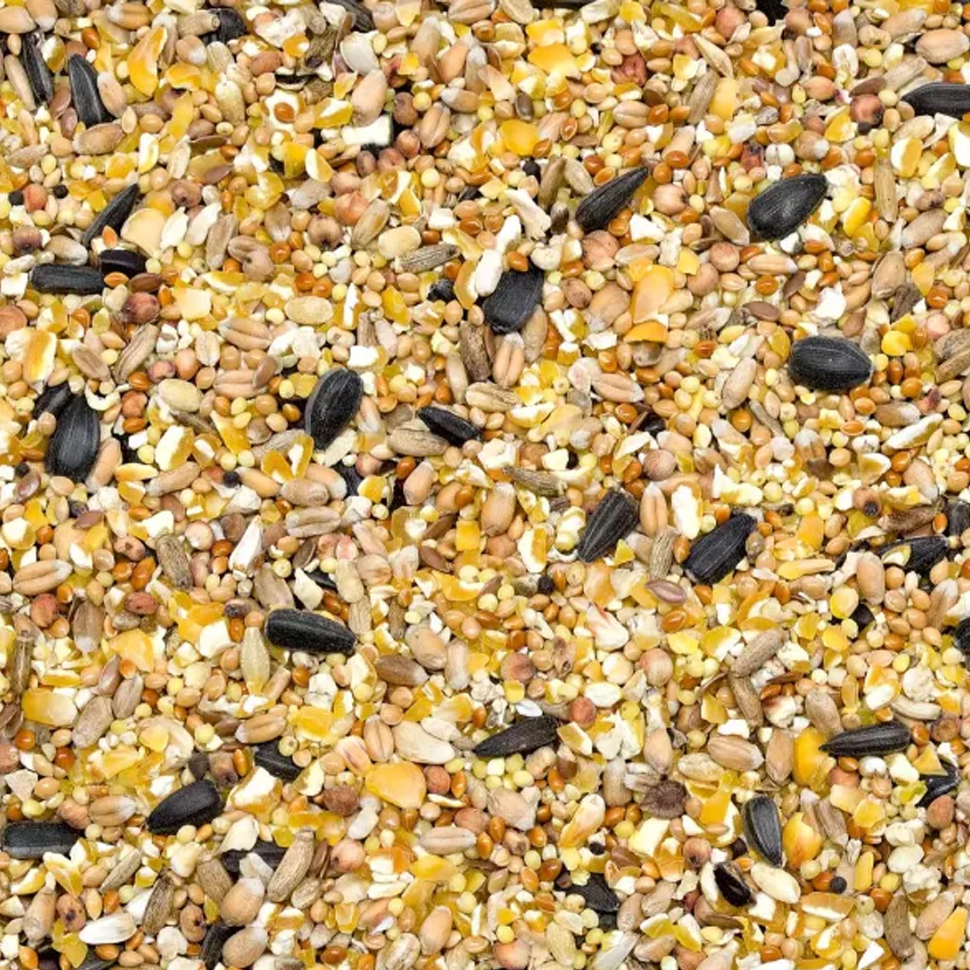 GiDeli Mangime invernale per uccelli, 25 kg, per uccelli selvatici, tutto l'anno, per giardino e balcone, con semi di lino, ricco di omega-3, calcio, senza additivi