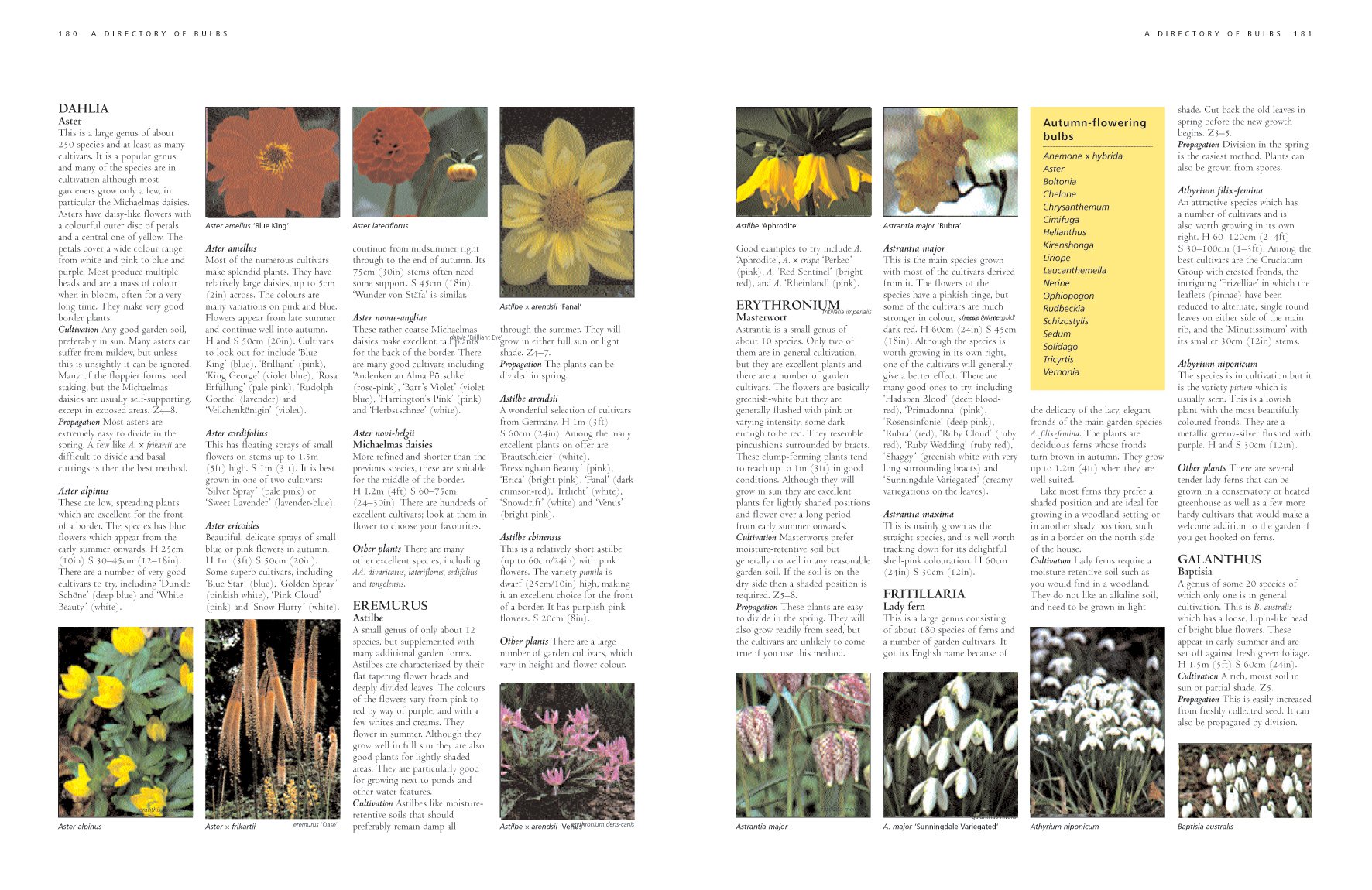 The Gardener's Guide to Bulbs: How to Create a Spectacular Garden Through the Year with Bulbs, Corns, Tubers and Rhizomes; An Illustrated Directory o