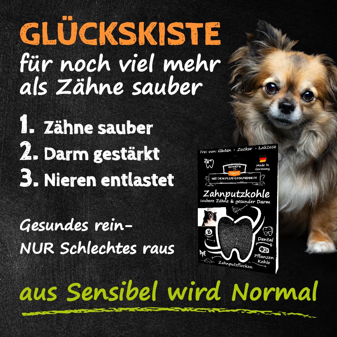 QCHEFS Glückskiste Napf Hund Schlecknapf Zahnpflege bei Mundgeruch Dental | Aufbewahrung Box für Zahnpflege Leckerlie mit Starterset, Zahnpflege bei Mundgeruch und als Zahnsteinentferner