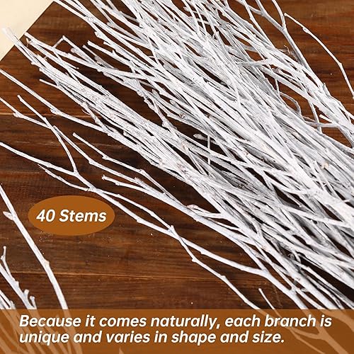 Miniatura 2 de 40 ramitas de abedul secas reales, ramas de abedul decorativas blancas de 17 pulgadas para jarrón, centro de mesa, decoración de boda, palos para