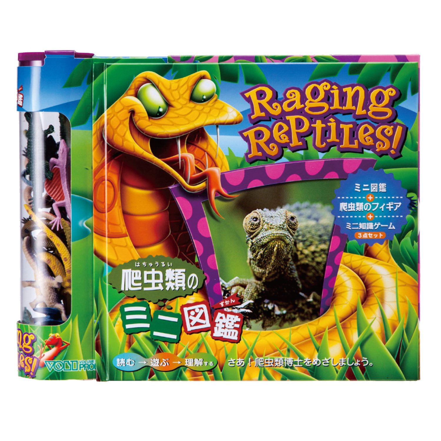 爬虫類のミニ図鑑 |本 | 通販 | Amazon