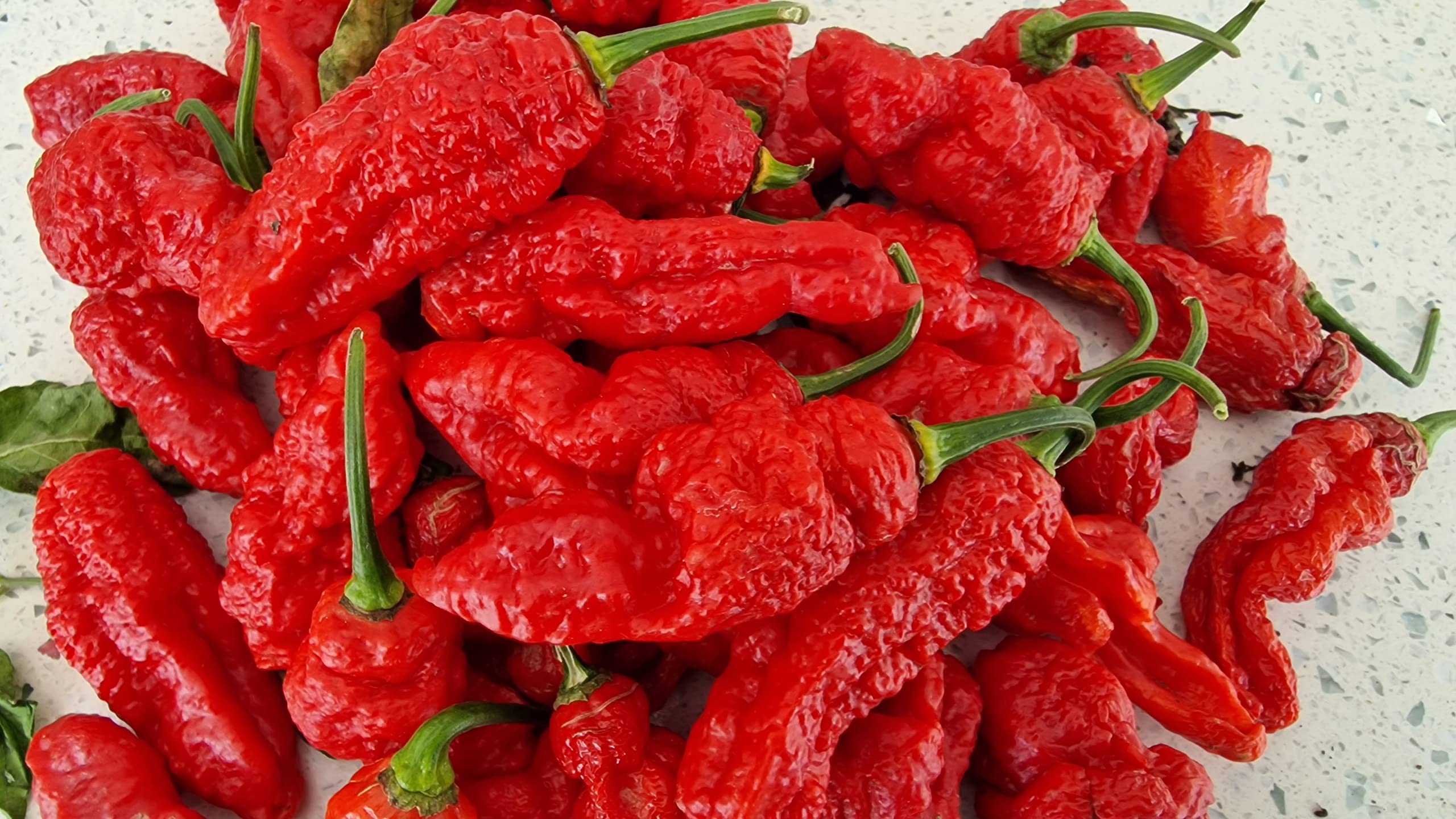 View 5