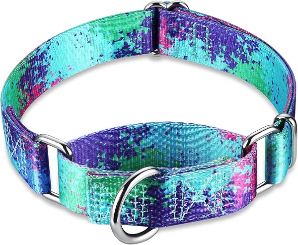 Close-up of the Dazzber Martingale collar showcasing the 'Ecological Oasis' oil painting pattern.