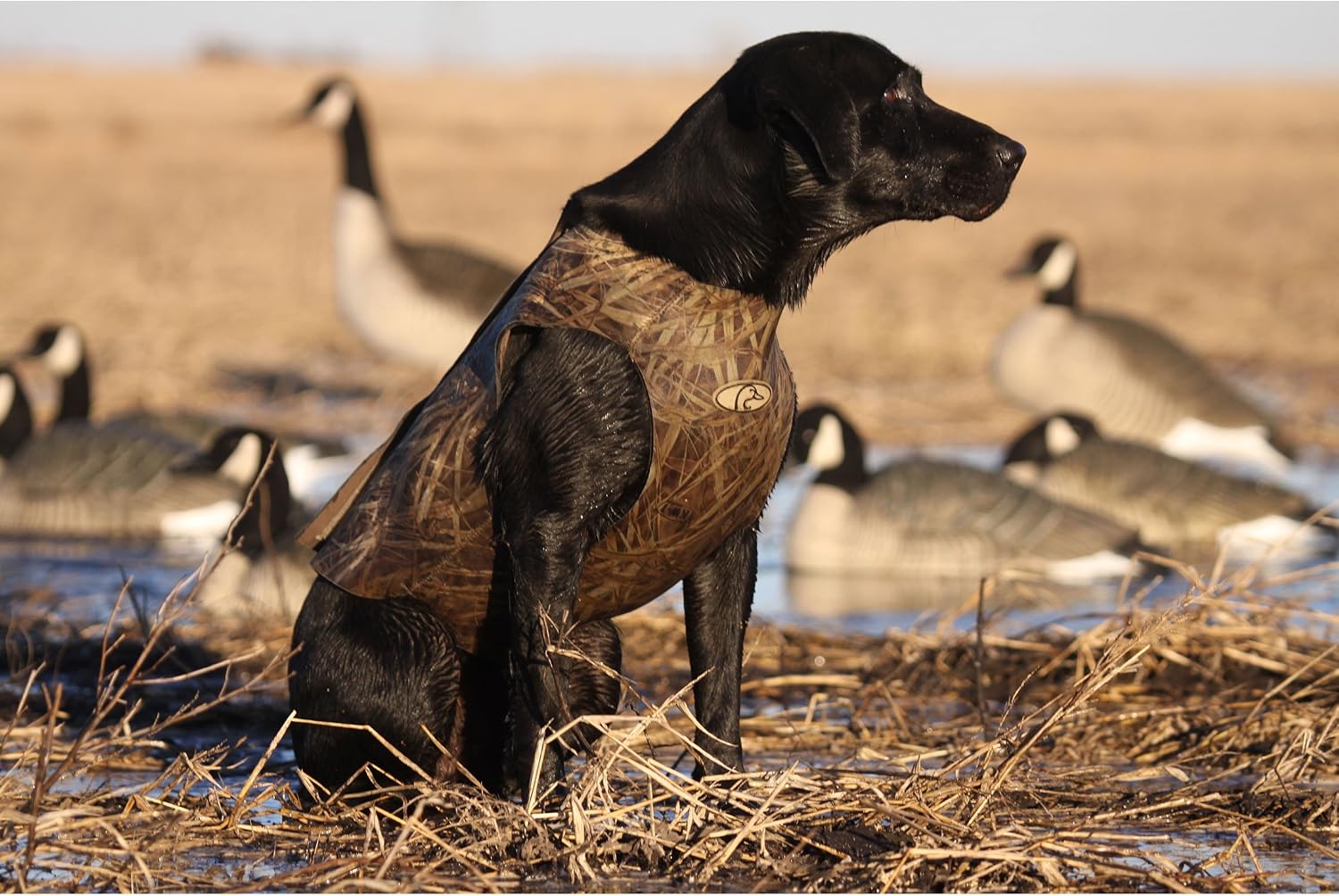 Avery Sporting Dog Standard Dog Parka,KW-1,Large
