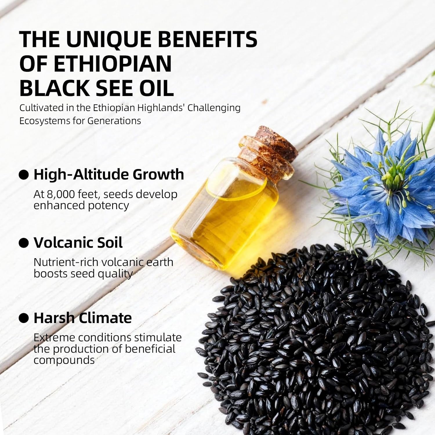 Ethiopian Black Seed Oil Softgels 4.64% Thymoquinone – Organic Cold Pressed Black Cumin Seed Oil Softgels, Non-GMO, Gluten-Free, 60 Softgels*2 Bottles