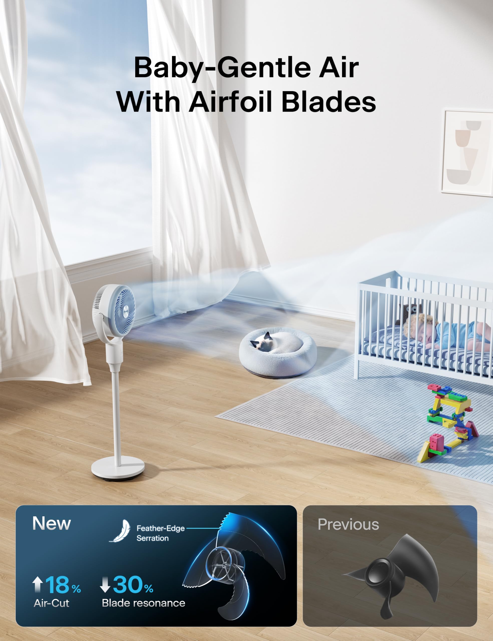 https://m.media-amazon.com/images/I/81dksNf0UKL.jpg