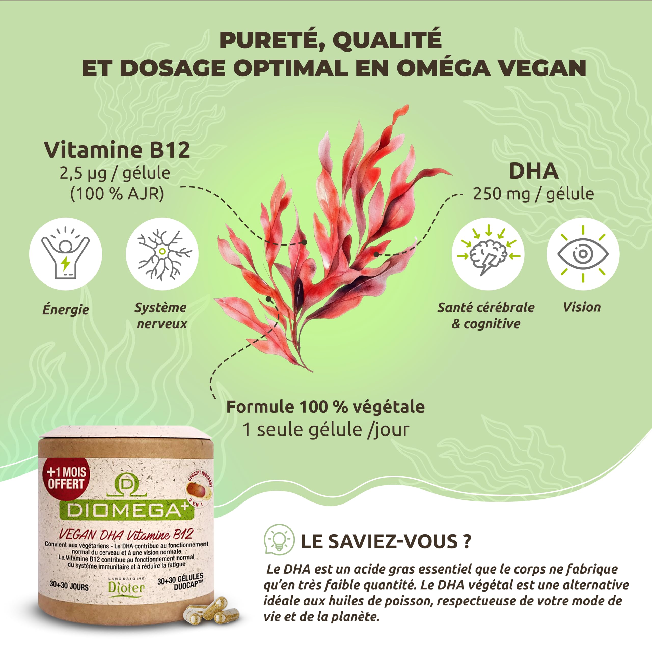Dioméga Équilibre Cérébral, Oméga 3 végan, DHA d’Algues + Vitamine B12 – Complément Alimentaire végan - Mémoire, Concentration, Vision & Système Nerveux - 60 Gélules