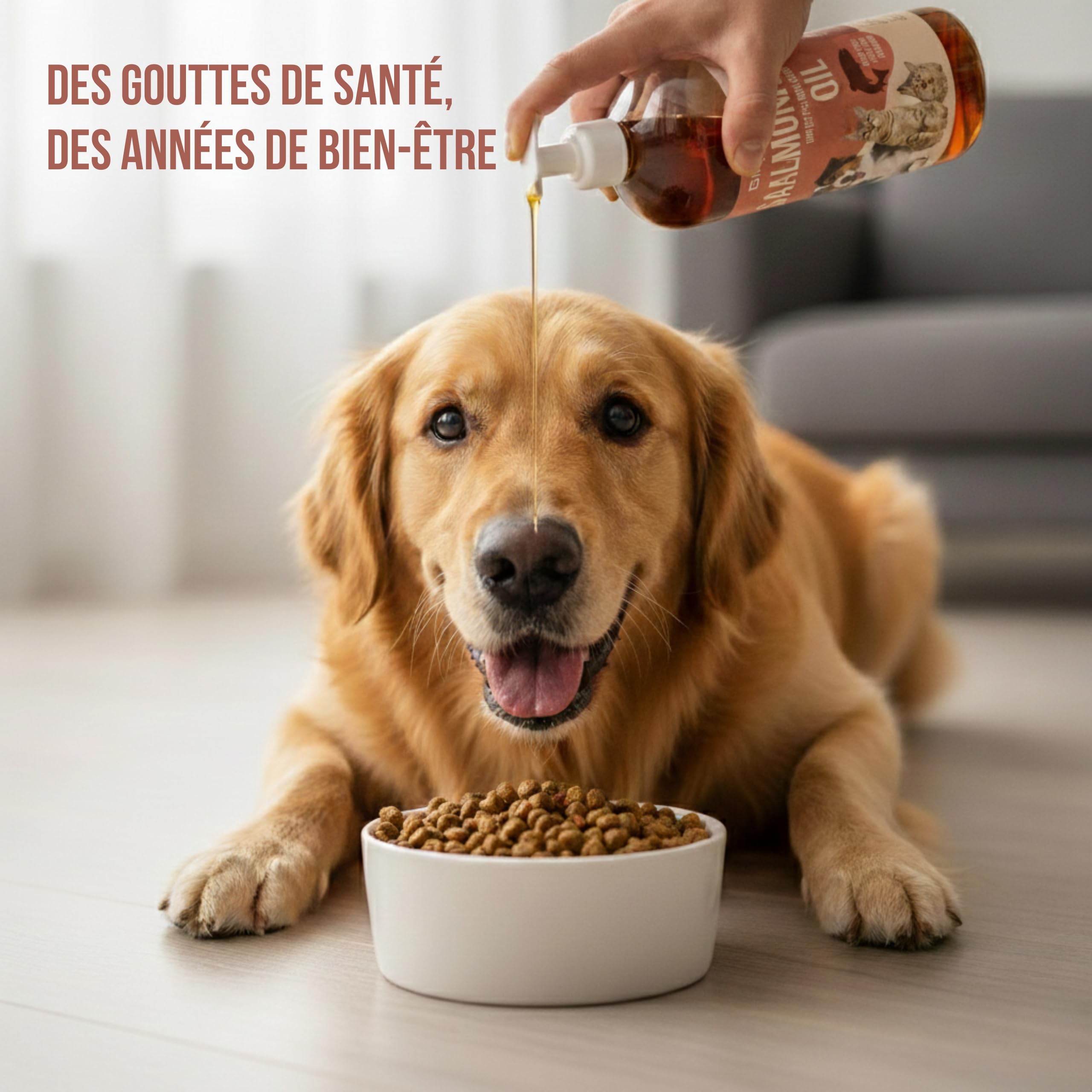 Huile de Saumon : Chiens et Chats 5 L – Source d'Oméga 3 et 6 – EPA et DHA – Complément Alimentaire Haut de Gamme à Base d'Acides Gras et de Vitamine E – Origine : Écosse