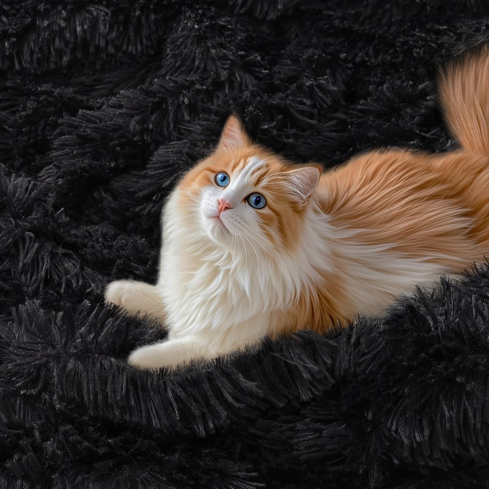 KANKAEU Coperta 160x200 cm, Coperta Pelliccia Morbida e Soffice, Plaid Decorative per Divano e Letti, Coperta Pile Calda e Accogliente, Plaid Matrimoniale, Copriletti,Nero Lucido