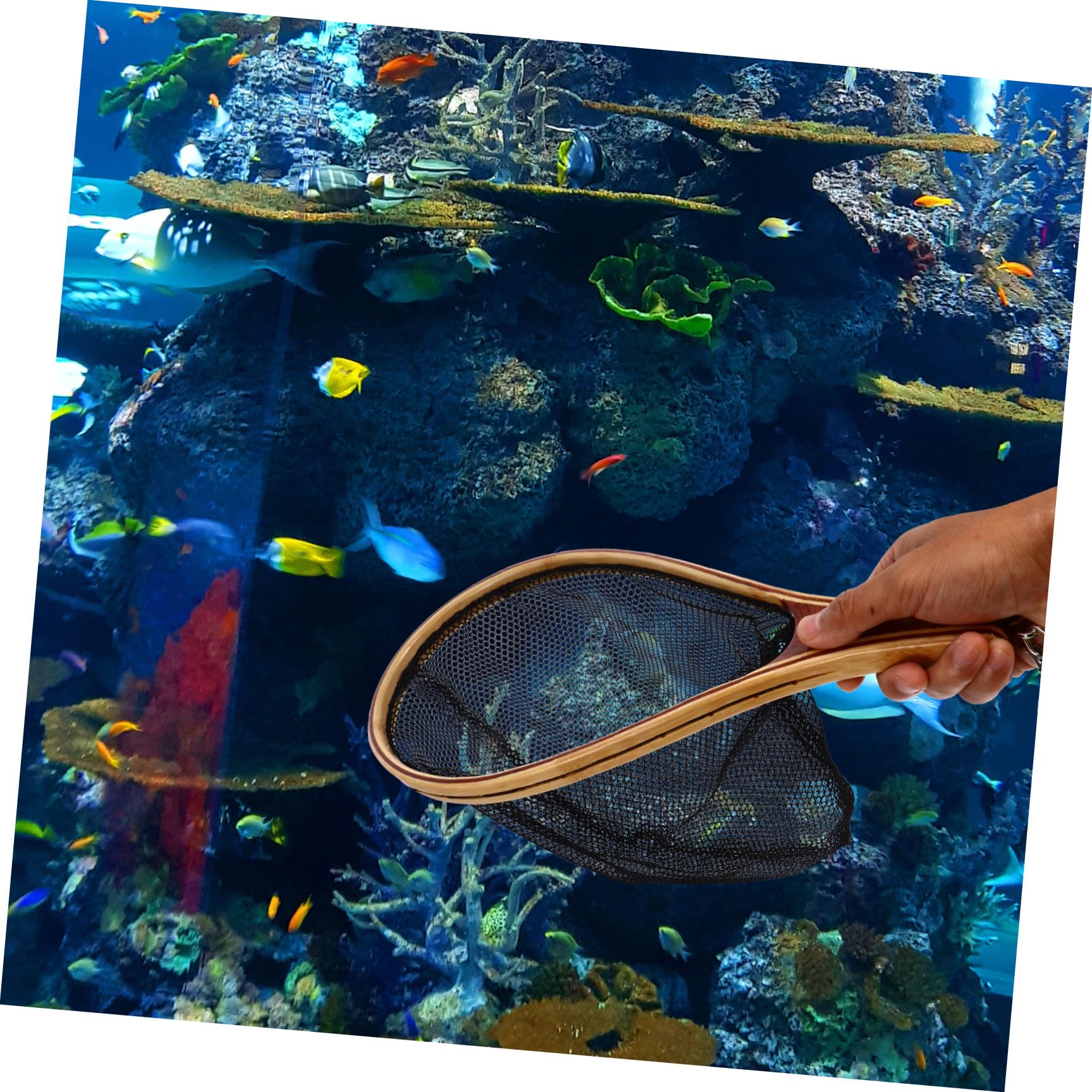 HANABASS Kescher Fischernetz Fang- Und Freilassungskescher Mit Griff Aus Bambus Für Aquarien Einfach Zu Bedienen Kompaktes Design Flexibles Netz