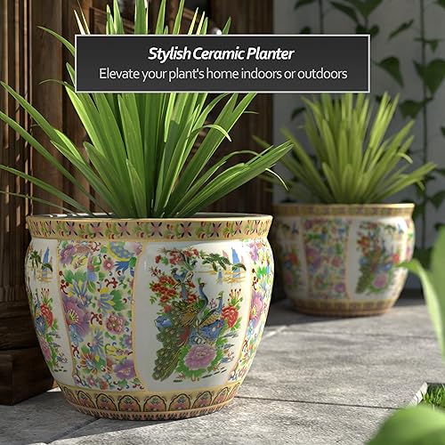 Miniatura 9 de Red Lantern Satsuma - Maceta de porcelana de 12 pulgadas para uso en interiores y exteriores, en jardín, entrada, sala de estar, estilo bohemio,