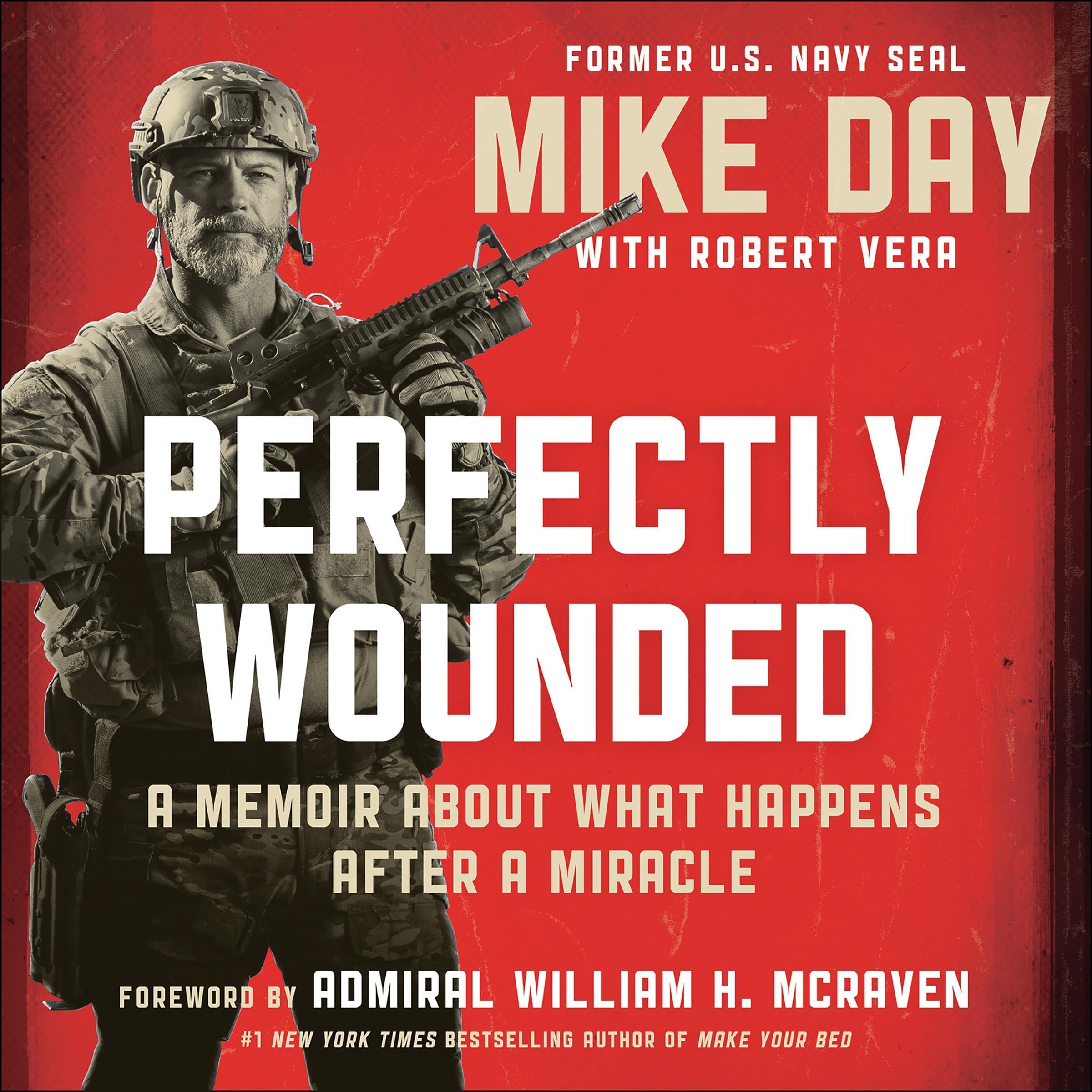 Cover art for Perfectly Wounded