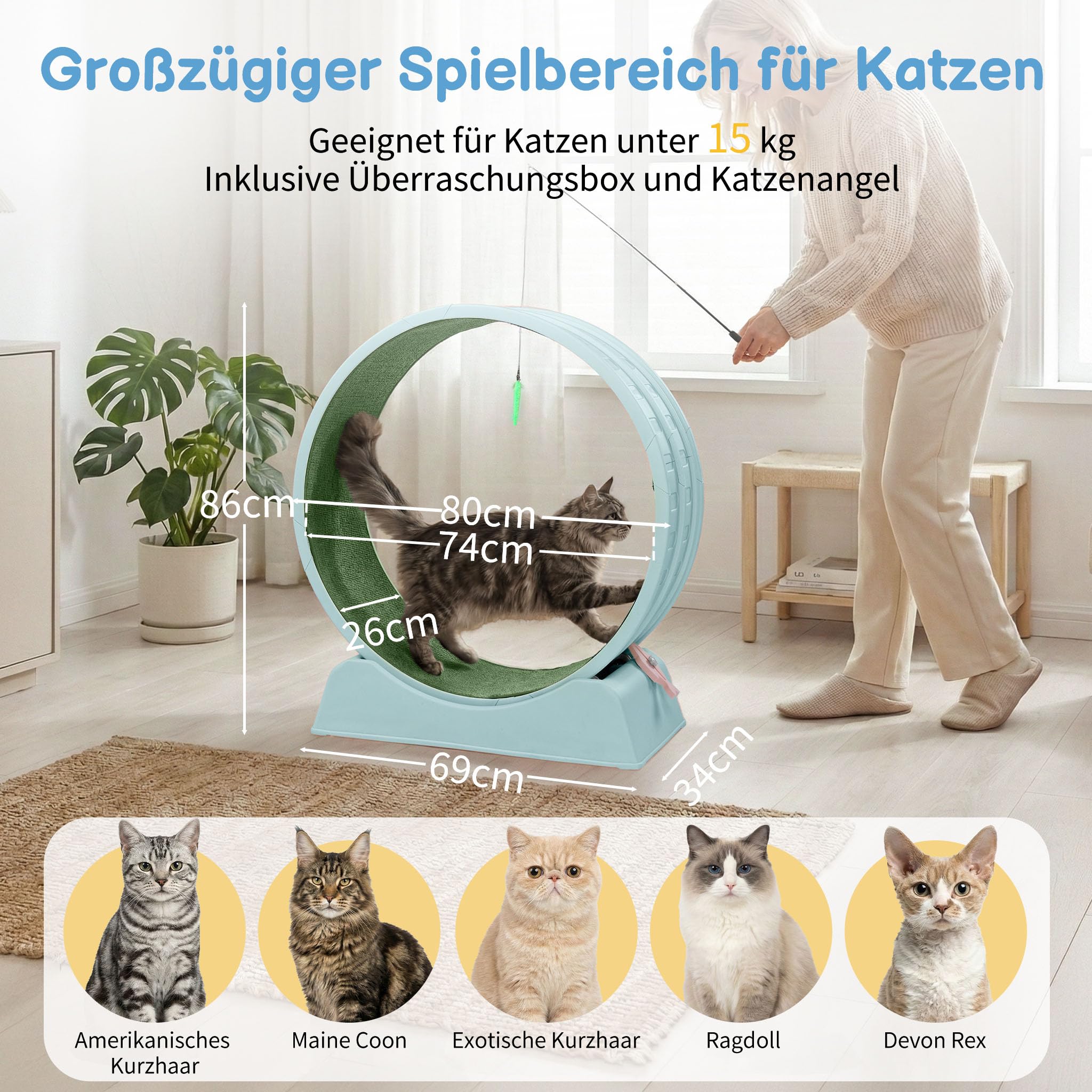 LEADZM Katzenlaufrad 80cm Durchmesser - Laufrad Katze aus Kunststoff, Inklusive Teppich und Katzenspielzeug, stabil und leise - Geeignet für Katzen mit einem Gewicht von höchstens 15 kg (Blau)