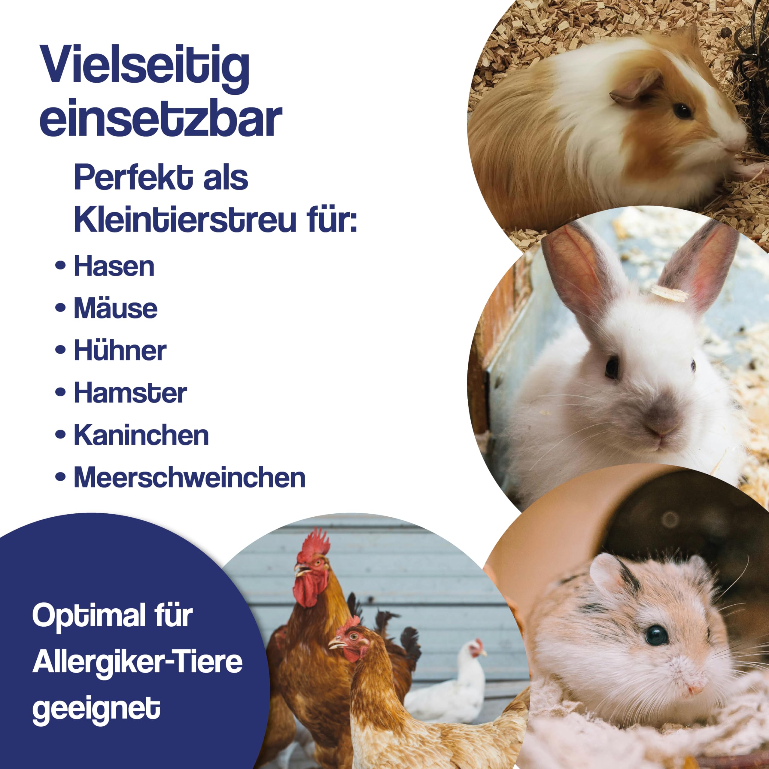 Bio Miscanthus Einstreu 980 Liter - Staubarm & Saugstark - Einstreu für Kleintiere wie Kaninchen, Meerschweinchen, Hamster - Kleintierstreu aus biologischem Anbau - 100% Natur