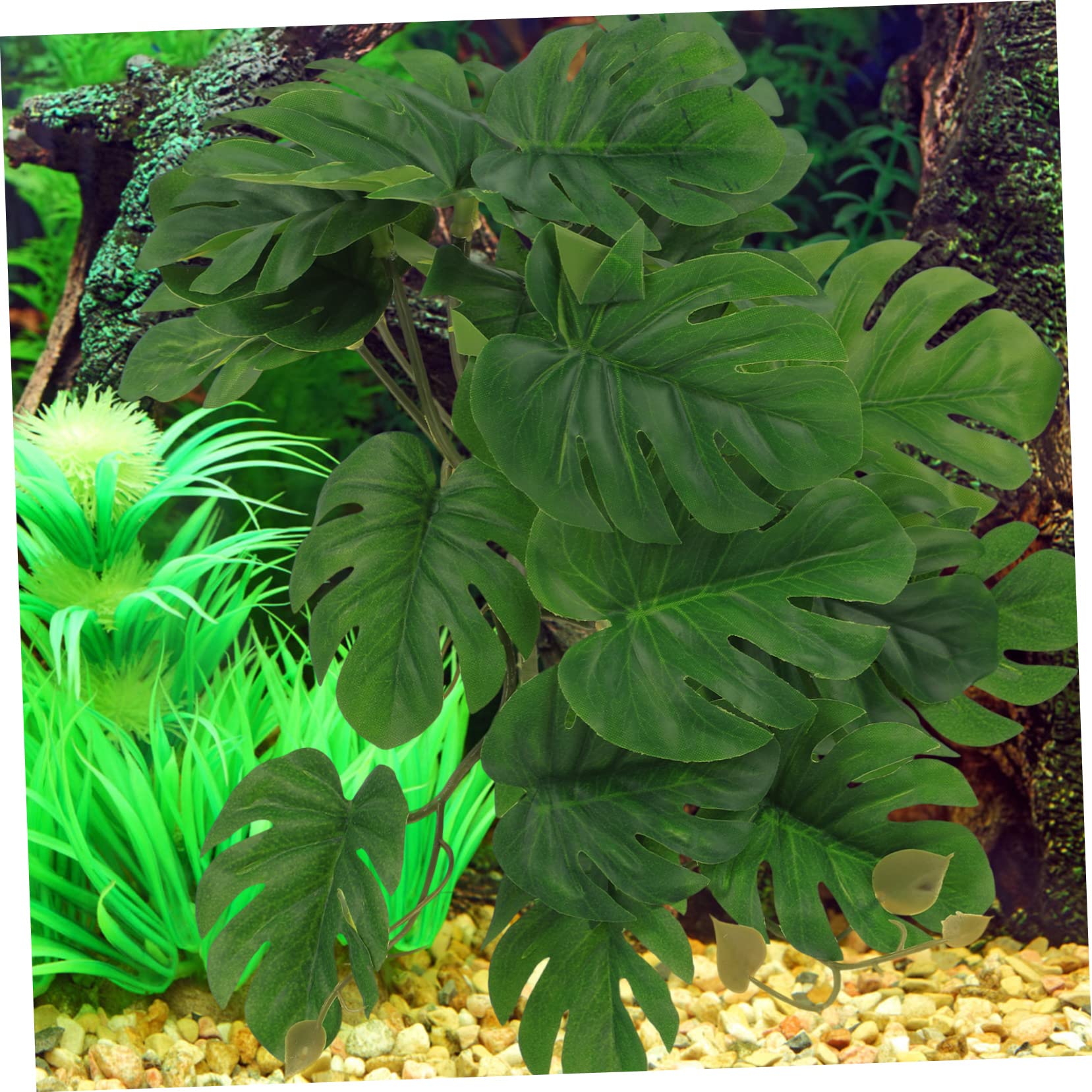 BESPORTBLE 5 Piezas De Decoración De Plantas De Reptiles Decoraciones De Terrarios Contenedores De Vidrio Enredaderas Terrarios De Reptiles Decoraciones Ligeras para El Hogar