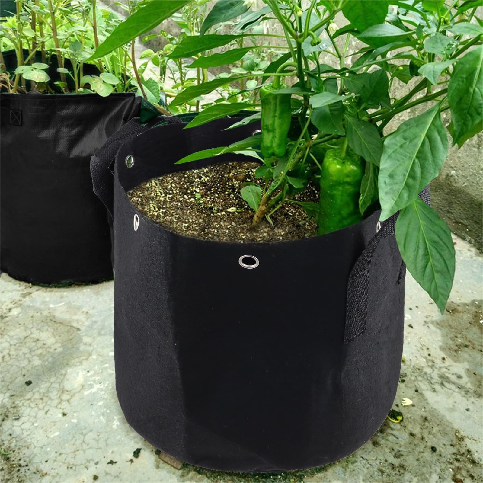 10 Macetas de Tela No Tejida de 12 l, 25 x 22 cm, con Asas, Sacos para Plantas en Macetas, Sacos de Jardín para Patatas, Zanahorias, Tomate