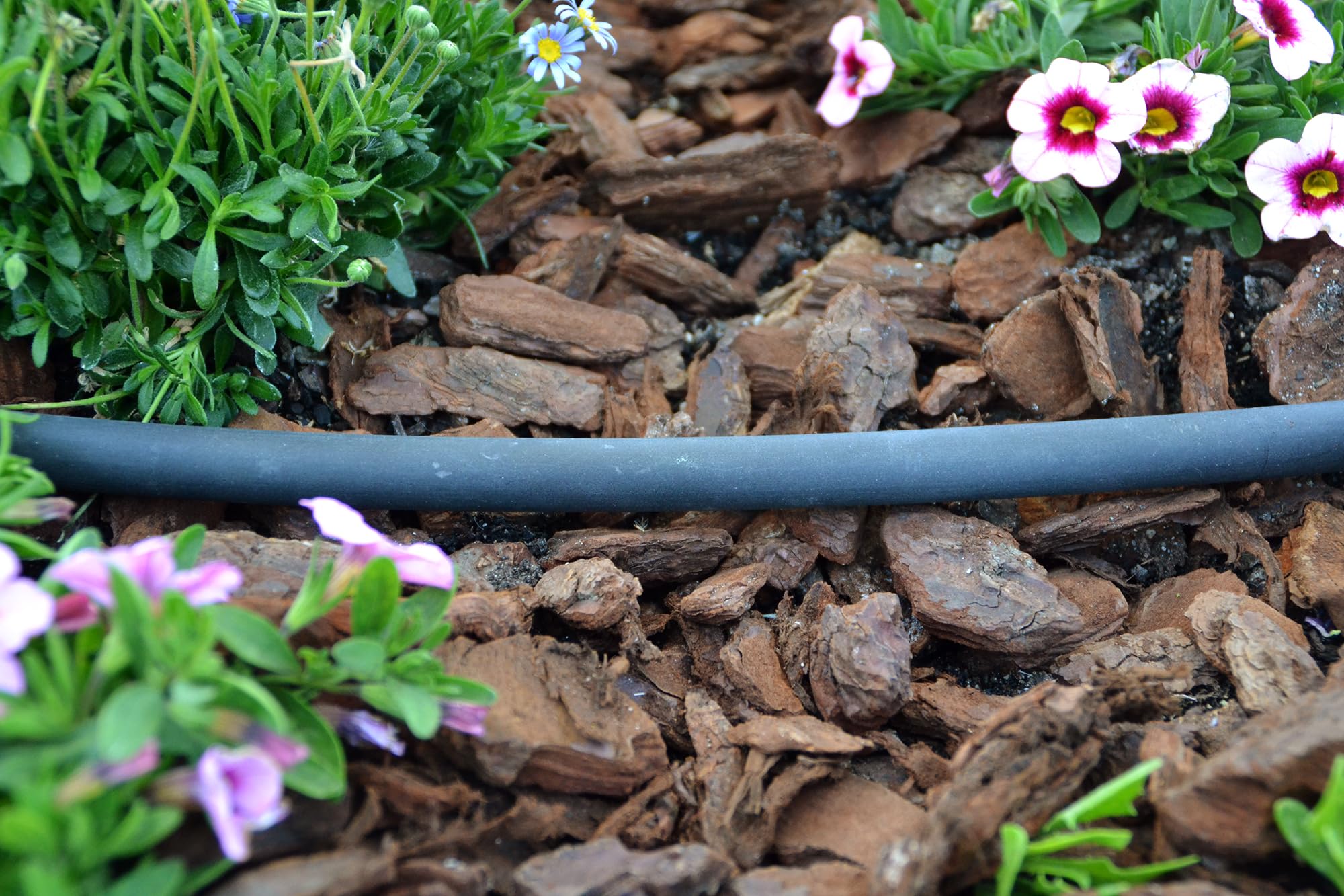 Jardibric - Tuyau Goutte à Goutte 13x16 mm Non Percé 50 m - Tube PE Irrigation Jardin pour Arrosage Goutte à Goutte