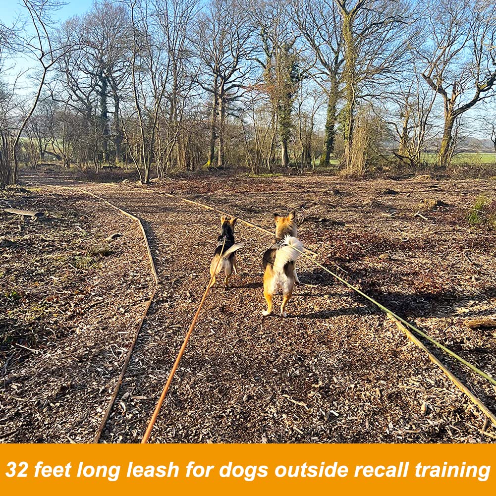 Vivifying 32FT Dog Check Cord - Reflective, Floatable Training Leash With Soft Handle, Orange